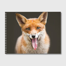 Альбом для рисования с принтом Лиса в Белгороде, 100% бумага
 | матовая бумага, плотность 200 мг. | animal | fox | look | predator | red | sly | wild | взгляд | дикая | животное | лиса | рыжая | хитрая | хищник