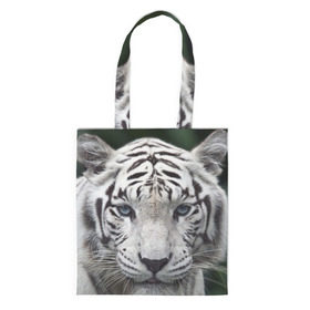 Сумка 3D повседневная с принтом Белый тигр в Белгороде, 100% полиэстер | Плотность: 200 г/м2; Размер: 34×35 см; Высота лямок: 30 см | animal | jungle | look | predator | tiger | white | wild | белый | взгляд | джунгли | дикий | животное | тигр | хищник