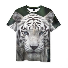 Мужская футболка 3D с принтом Белый тигр в Белгороде, 100% полиэфир | прямой крой, круглый вырез горловины, длина до линии бедер | animal | jungle | look | predator | tiger | white | wild | белый | взгляд | джунгли | дикий | животное | тигр | хищник