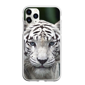 Чехол для iPhone 11 Pro матовый с принтом Белый тигр в Белгороде, Силикон |  | animal | jungle | look | predator | tiger | white | wild | белый | взгляд | джунгли | дикий | животное | тигр | хищник