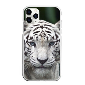 Чехол для iPhone 11 Pro Max матовый с принтом Белый тигр в Белгороде, Силикон |  | animal | jungle | look | predator | tiger | white | wild | белый | взгляд | джунгли | дикий | животное | тигр | хищник