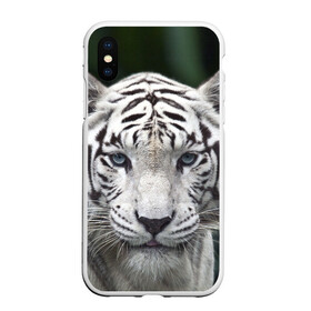 Чехол для iPhone XS Max матовый с принтом Белый тигр в Белгороде, Силикон | Область печати: задняя сторона чехла, без боковых панелей | animal | jungle | look | predator | tiger | white | wild | белый | взгляд | джунгли | дикий | животное | тигр | хищник