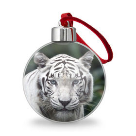 Ёлочный шар с принтом Белый тигр в Белгороде, Пластик | Диаметр: 77 мм | animal | jungle | look | predator | tiger | white | wild | белый | взгляд | джунгли | дикий | животное | тигр | хищник