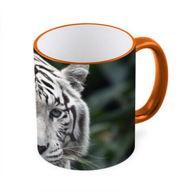 Кружка 3D с принтом Белый тигр в Белгороде, керамика | ёмкость 330 мл | Тематика изображения на принте: animal | jungle | look | predator | tiger | white | wild | белый | взгляд | джунгли | дикий | животное | тигр | хищник