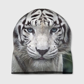 Шапка 3D с принтом Белый тигр в Белгороде, 100% полиэстер | универсальный размер, печать по всей поверхности изделия | Тематика изображения на принте: animal | jungle | look | predator | tiger | white | wild | белый | взгляд | джунгли | дикий | животное | тигр | хищник