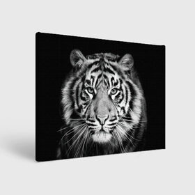 Холст прямоугольный с принтом Тигр в Белгороде, 100% ПВХ |  | Тематика изображения на принте: animal | black   white | look | predator | tiger | wild | взгляд | дикий | животное | тигр | хищник | черно   белый