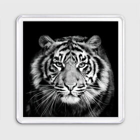 Магнит 55*55 с принтом Тигр в Белгороде, Пластик | Размер: 65*65 мм; Размер печати: 55*55 мм | Тематика изображения на принте: animal | black   white | look | predator | tiger | wild | взгляд | дикий | животное | тигр | хищник | черно   белый