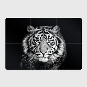 Магнитный плакат 3Х2 с принтом Тигр в Белгороде, Полимерный материал с магнитным слоем | 6 деталей размером 9*9 см | Тематика изображения на принте: animal | black   white | look | predator | tiger | wild | взгляд | дикий | животное | тигр | хищник | черно   белый