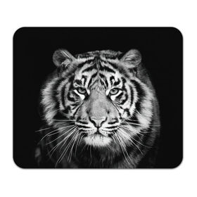 Коврик прямоугольный с принтом Тигр в Белгороде, натуральный каучук | размер 230 х 185 мм; запечатка лицевой стороны | animal | black   white | look | predator | tiger | wild | взгляд | дикий | животное | тигр | хищник | черно   белый