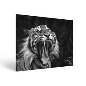 Холст прямоугольный с принтом Тигр в Белгороде, 100% ПВХ |  | Тематика изображения на принте: animal | black   white | fangs | jaws | jungle | predator | teeth | tiger | wild | джунгли | дикий | животное | клыки | оскал | пасть | тигр | хищник | черно   белый