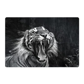 Магнитный плакат 3Х2 с принтом Тигр в Белгороде, Полимерный материал с магнитным слоем | 6 деталей размером 9*9 см | animal | black   white | fangs | jaws | jungle | predator | teeth | tiger | wild | джунгли | дикий | животное | клыки | оскал | пасть | тигр | хищник | черно   белый