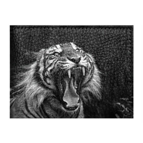 Обложка для студенческого билета с принтом Тигр в Белгороде, натуральная кожа | Размер: 11*8 см; Печать на всей внешней стороне | Тематика изображения на принте: animal | black   white | fangs | jaws | jungle | predator | teeth | tiger | wild | джунгли | дикий | животное | клыки | оскал | пасть | тигр | хищник | черно   белый