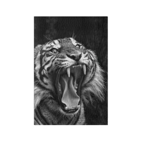 Обложка для паспорта матовая кожа с принтом Тигр в Белгороде, натуральная матовая кожа | размер 19,3 х 13,7 см; прозрачные пластиковые крепления | animal | black   white | fangs | jaws | jungle | predator | teeth | tiger | wild | джунгли | дикий | животное | клыки | оскал | пасть | тигр | хищник | черно   белый