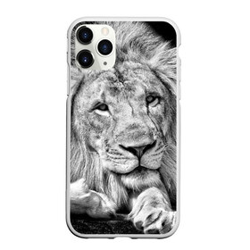 Чехол для iPhone 11 Pro матовый с принтом Лев в Белгороде, Силикон |  | animal | black   white | king | lies | lion | look | predator | wild | взгляд | дикий | животное | зверь | лев | лежит | хищник | царь | черно   белый