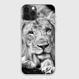 Чехол для iPhone 12 Pro Max с принтом Лев в Белгороде, Силикон |  | animal | black   white | king | lies | lion | look | predator | wild | взгляд | дикий | животное | зверь | лев | лежит | хищник | царь | черно   белый