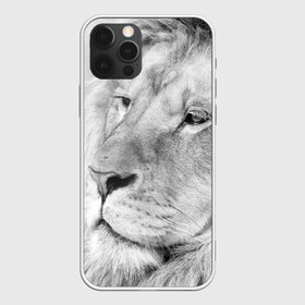 Чехол для iPhone 12 Pro Max с принтом Лев в Белгороде, Силикон |  | animal | black   white | king | lion | look | predator | wild | взгляд | дикий | животное | зверь | лев | хищник | царь | черно   белый