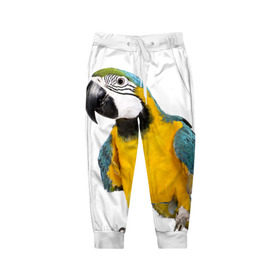 Детские брюки 3D с принтом Попугай ара в Белгороде, 100% полиэстер | манжеты по низу, эластичный пояс регулируется шнурком, по бокам два кармана без застежек, внутренняя часть кармана из мелкой сетки | желтый | птица | синий | экзотика