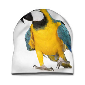 Шапка 3D с принтом Попугай ара в Белгороде, 100% полиэстер | универсальный размер, печать по всей поверхности изделия | желтый | птица | синий | экзотика