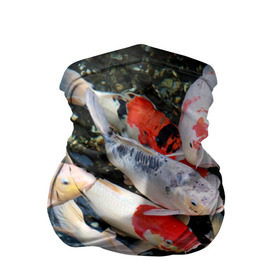 Бандана-труба 3D с принтом Koi Fish (карпы кои) в Белгороде, 100% полиэстер, ткань с особыми свойствами — Activecool | плотность 150‒180 г/м2; хорошо тянется, но сохраняет форму | Тематика изображения на принте: bright | brocade | carp | color | decorative | depth | exotic | fish | koi | koi fish | sea | water | вода | глубина | декоративные | карпы | кои | море | парчовый | рыбки | цвет | экзотические | яркий