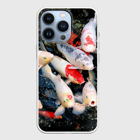 Чехол для iPhone 13 Pro с принтом Koi Fish (карпы кои) в Белгороде,  |  | bright | brocade | carp | color | decorative | depth | exotic | fish | koi | koi fish | sea | water | вода | глубина | декоративные | карпы | кои | море | парчовый | рыбки | цвет | экзотические | яркий