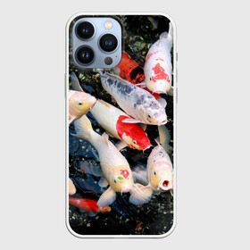 Чехол для iPhone 13 Pro Max с принтом Koi Fish (карпы кои) в Белгороде,  |  | bright | brocade | carp | color | decorative | depth | exotic | fish | koi | koi fish | sea | water | вода | глубина | декоративные | карпы | кои | море | парчовый | рыбки | цвет | экзотические | яркий