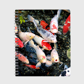 Тетрадь с принтом Koi Fish (карпы кои) в Белгороде, 100% бумага | 48 листов, плотность листов — 60 г/м2, плотность картонной обложки — 250 г/м2. Листы скреплены сбоку удобной пружинной спиралью. Уголки страниц и обложки скругленные. Цвет линий — светло-серый
 | bright | brocade | carp | color | decorative | depth | exotic | fish | koi | koi fish | sea | water | вода | глубина | декоративные | карпы | кои | море | парчовый | рыбки | цвет | экзотические | яркий