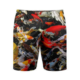 Мужские шорты 3D спортивные с принтом Koi Fish (карпы кои) в Белгороде,  |  | bright | brocade | carp | color | decorative | depth | exotic | fish | koi | koi fish | sea | water | вода | глубина | декоративные | карпы | кои | море | парчовый | рыбки | цвет | экзотические | яркий