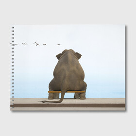 Альбом для рисования с принтом Слон и журавли в Белгороде, 100% бумага
 | матовая бумага, плотность 200 мг. | bench | coast | cranes | dream | elephant | flight | sea | sitting | берег | журавли | мечты | море | полет | сидит | скамейка | слон