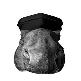 Бандана-труба 3D с принтом Слон в Белгороде, 100% полиэстер, ткань с особыми свойствами — Activecool | плотность 150‒180 г/м2; хорошо тянется, но сохраняет форму | animal | big | black   white | elephant | wild | большой | дикий | животное | слон | черно   белый