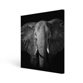 Холст квадратный с принтом Слон в Белгороде, 100% ПВХ |  | animal | big | black   white | elephant | wild | большой | дикий | животное | слон | черно   белый