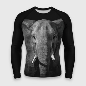 Мужской рашгард 3D с принтом Слон в Белгороде,  |  | animal | big | black   white | elephant | wild | большой | дикий | животное | слон | черно   белый