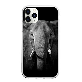 Чехол для iPhone 11 Pro матовый с принтом Слон в Белгороде, Силикон |  | Тематика изображения на принте: animal | big | black   white | elephant | wild | большой | дикий | животное | слон | черно   белый