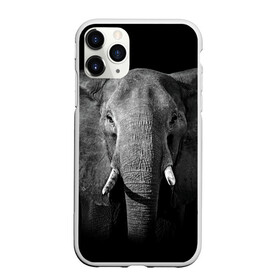 Чехол для iPhone 11 Pro Max матовый с принтом Слон в Белгороде, Силикон |  | Тематика изображения на принте: animal | big | black   white | elephant | wild | большой | дикий | животное | слон | черно   белый