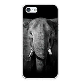 Чехол для iPhone 5/5S матовый с принтом Слон в Белгороде, Силикон | Область печати: задняя сторона чехла, без боковых панелей | Тематика изображения на принте: animal | big | black   white | elephant | wild | большой | дикий | животное | слон | черно   белый