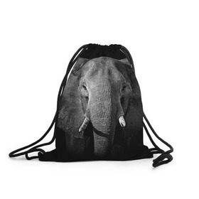Рюкзак-мешок 3D с принтом Слон в Белгороде, 100% полиэстер | плотность ткани — 200 г/м2, размер — 35 х 45 см; лямки — толстые шнурки, застежка на шнуровке, без карманов и подкладки | animal | big | black   white | elephant | wild | большой | дикий | животное | слон | черно   белый