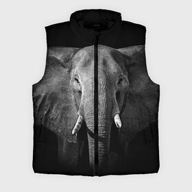 Мужской жилет утепленный 3D с принтом Слон в Белгороде,  |  | animal | big | black   white | elephant | wild | большой | дикий | животное | слон | черно   белый
