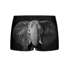 Мужские трусы 3D с принтом Слон в Белгороде, 50% хлопок, 50% полиэстер | классическая посадка, на поясе мягкая тканевая резинка | animal | big | black   white | elephant | wild | большой | дикий | животное | слон | черно   белый