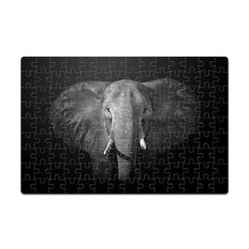Пазл магнитный 126 элементов с принтом Слон в Белгороде, полимерный материал с магнитным слоем | 126 деталей, размер изделия —  180*270 мм | animal | big | black   white | elephant | wild | большой | дикий | животное | слон | черно   белый