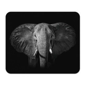 Коврик прямоугольный с принтом Слон в Белгороде, натуральный каучук | размер 230 х 185 мм; запечатка лицевой стороны | animal | big | black   white | elephant | wild | большой | дикий | животное | слон | черно   белый