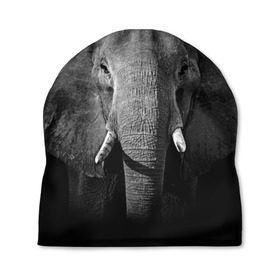 Шапка 3D с принтом Слон в Белгороде, 100% полиэстер | универсальный размер, печать по всей поверхности изделия | animal | big | black   white | elephant | wild | большой | дикий | животное | слон | черно   белый