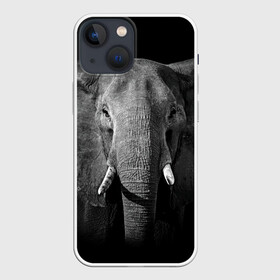 Чехол для iPhone 13 mini с принтом Слон в Белгороде,  |  | animal | big | black   white | elephant | wild | большой | дикий | животное | слон | черно   белый