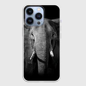 Чехол для iPhone 13 Pro с принтом Слон в Белгороде,  |  | animal | big | black   white | elephant | wild | большой | дикий | животное | слон | черно   белый