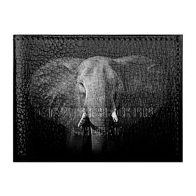 Обложка для студенческого билета с принтом Слон в Белгороде, натуральная кожа | Размер: 11*8 см; Печать на всей внешней стороне | animal | big | black   white | elephant | wild | большой | дикий | животное | слон | черно   белый
