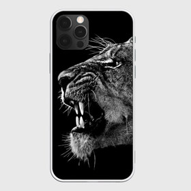 Чехол для iPhone 12 Pro Max с принтом Львица в Белгороде, Силикон |  | Тематика изображения на принте: animal | fangs | head | lion | lioness | predator | teeth | wild | голова | дикая | животное | клыки | лев | львица | оскал | хищник