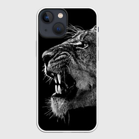 Чехол для iPhone 13 mini с принтом Львица в Белгороде,  |  | animal | fangs | head | lion | lioness | predator | teeth | wild | голова | дикая | животное | клыки | лев | львица | оскал | хищник