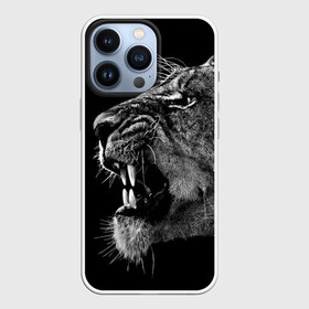 Чехол для iPhone 13 Pro с принтом Львица в Белгороде,  |  | animal | fangs | head | lion | lioness | predator | teeth | wild | голова | дикая | животное | клыки | лев | львица | оскал | хищник