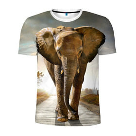 Мужская футболка 3D спортивная с принтом Слон в Белгороде, 100% полиэстер с улучшенными характеристиками | приталенный силуэт, круглая горловина, широкие плечи, сужается к линии бедра | Тематика изображения на принте: africa | animal | big | elephant | go | road | savannah | wild | африка | большой | дикий | дорога | животное | идет | саванна | слон