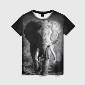 Женская футболка 3D с принтом Слон в Белгороде, 100% полиэфир ( синтетическое хлопкоподобное полотно) | прямой крой, круглый вырез горловины, длина до линии бедер | africa | animal | big | black   white | elephant | go | road | savannah | wild | африка | большой | дикий | дорога | животное | идет | саванна | слон | черно   белый