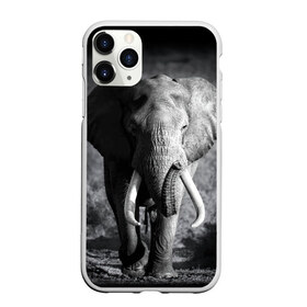 Чехол для iPhone 11 Pro матовый с принтом Слон в Белгороде, Силикон |  | africa | animal | big | black   white | elephant | go | road | savannah | wild | африка | большой | дикий | дорога | животное | идет | саванна | слон | черно   белый