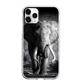Чехол для iPhone 11 Pro Max матовый с принтом Слон в Белгороде, Силикон |  | Тематика изображения на принте: africa | animal | big | black   white | elephant | go | road | savannah | wild | африка | большой | дикий | дорога | животное | идет | саванна | слон | черно   белый